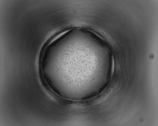 X0000102830630200809021314