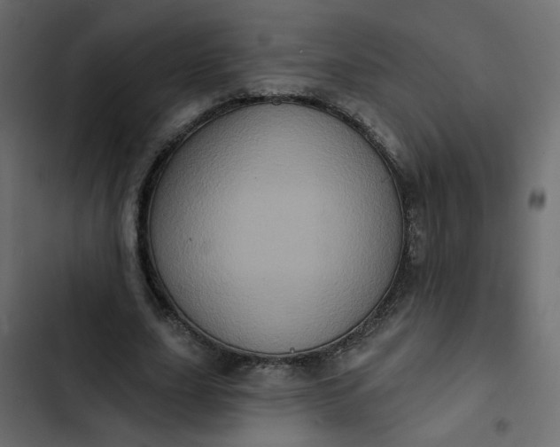 X0000102830631200809021314