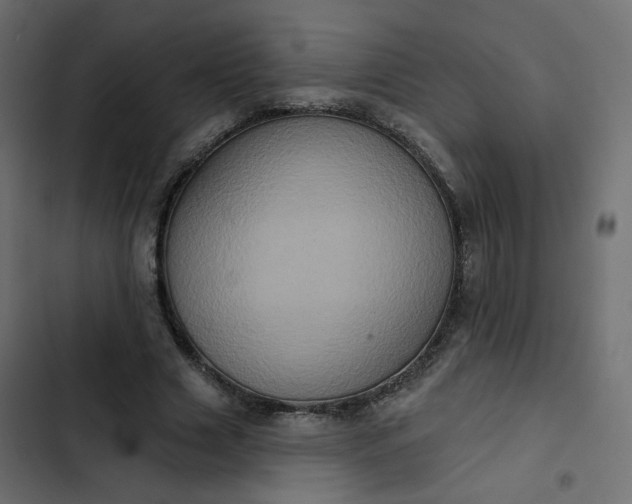 X0000102830633200809021314