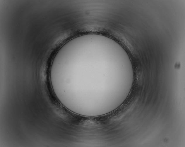 X0000102830635200809021314