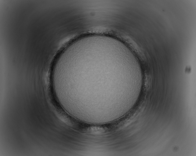 X0000102830636200809021314