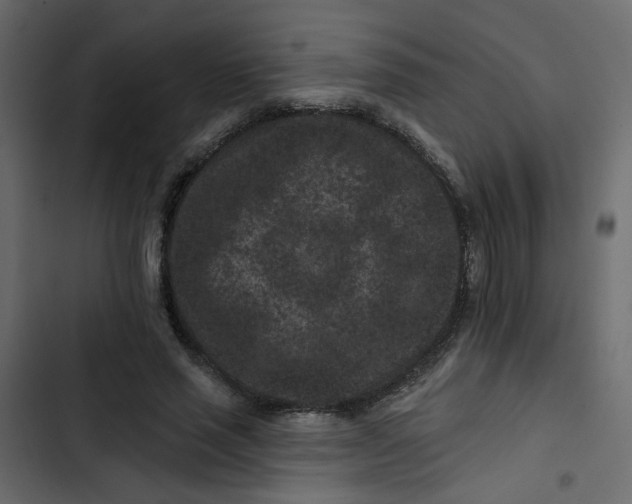 X0000102830637200809021314