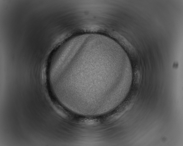 X0000102830638200809021314