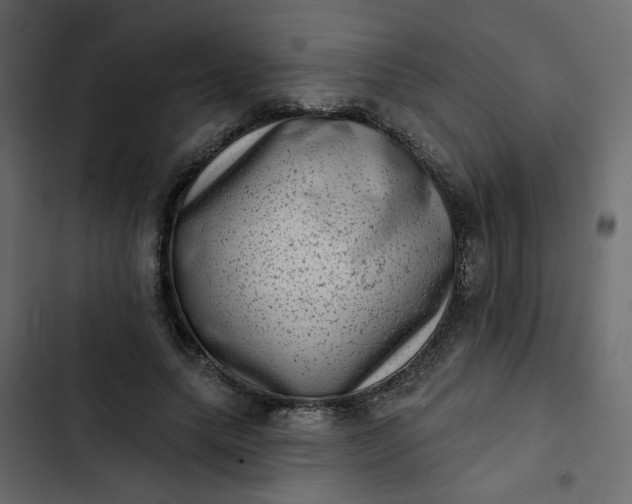 X0000102830639200809021314