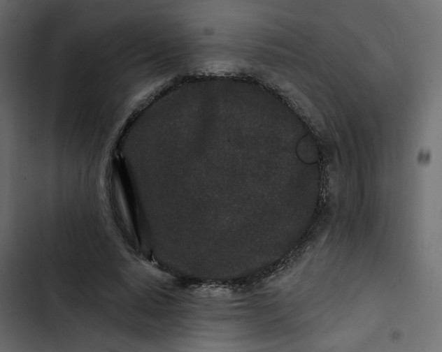 X0000102830640200809021314