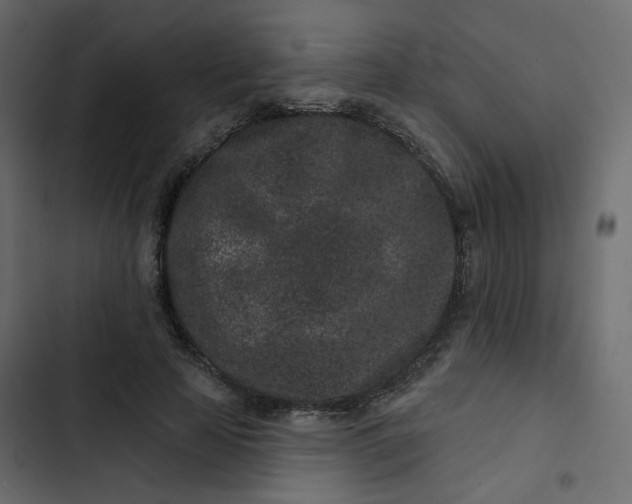 X0000102830641200809021314