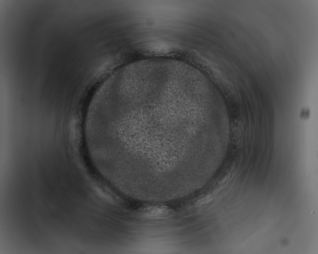 X0000102830642200809021314