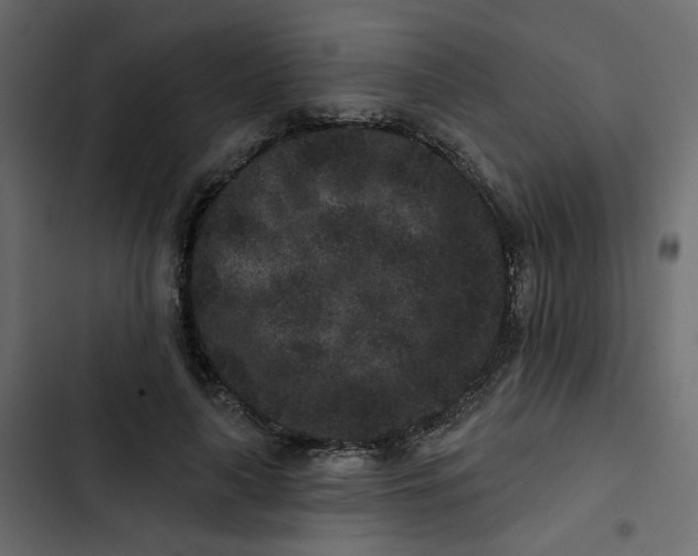 X0000102830643200809021314