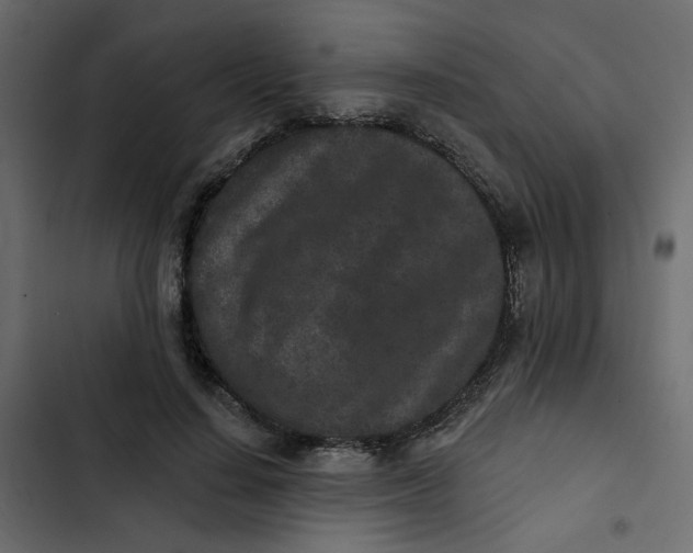 X0000102830644200809021314