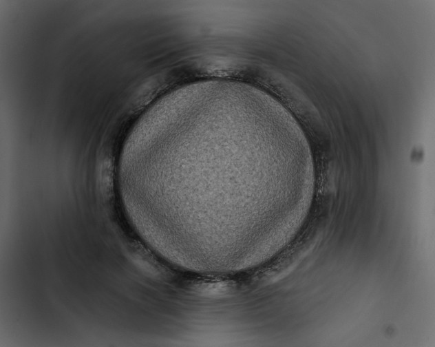 X0000102830646200809021314