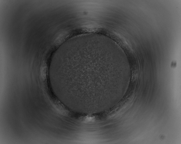 X0000102830647200809021314