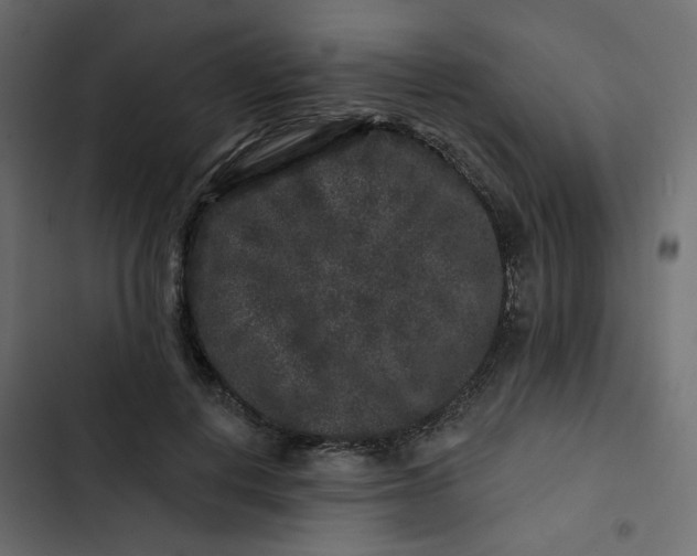 X0000102830648200809021314