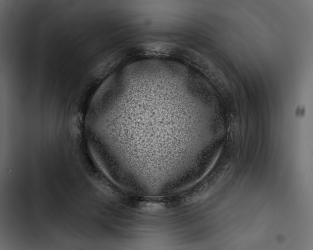 X0000102830649200809021314