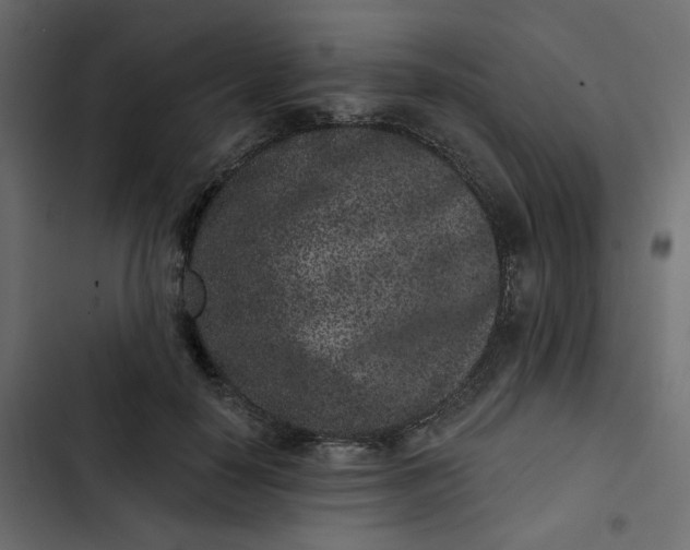 X0000102830650200809021314