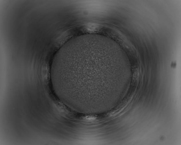 X0000102830651200809021314