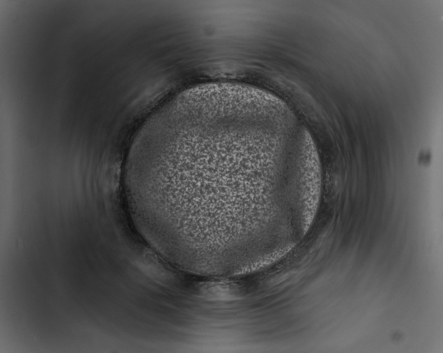 X0000102830652200809021314