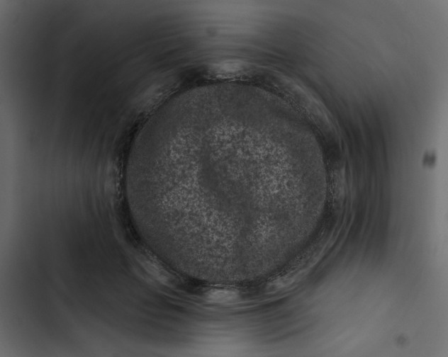 X0000102830653200809021314