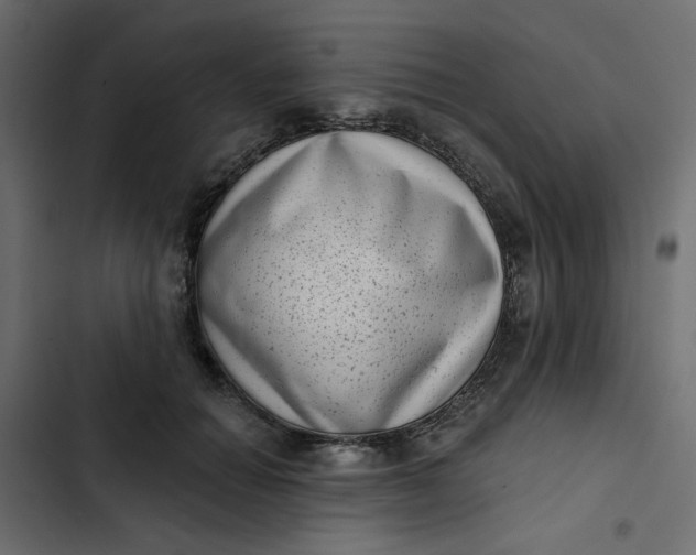 X0000102830654200809021314