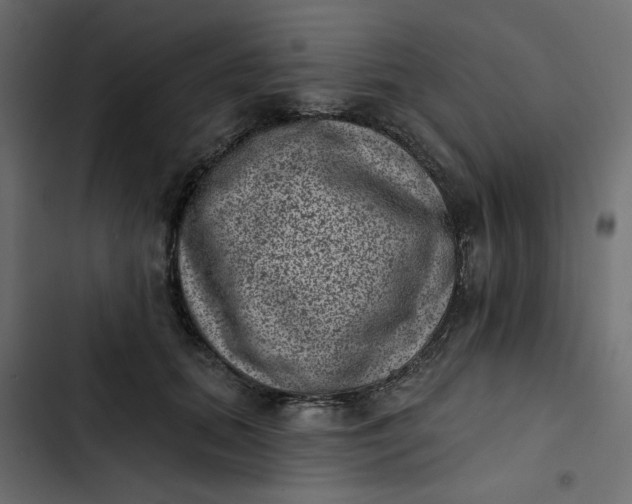 X0000102830655200809021314