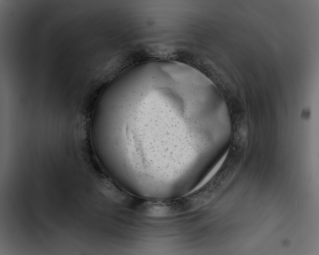 X0000102830658200809021314