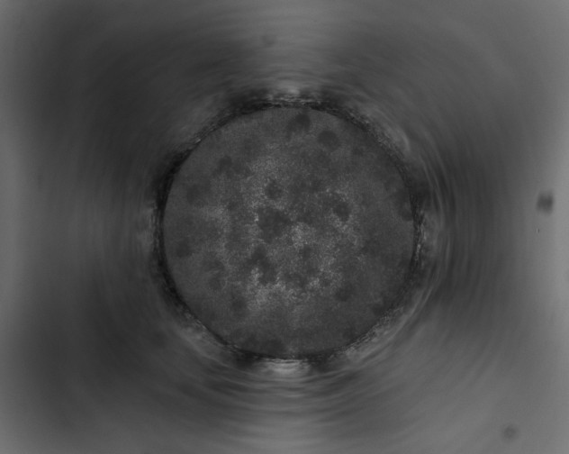 X0000102830659200809021314