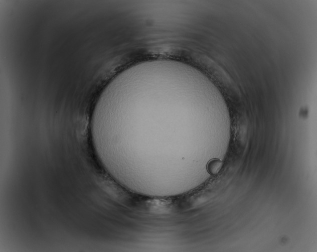 X0000102830660200809021315