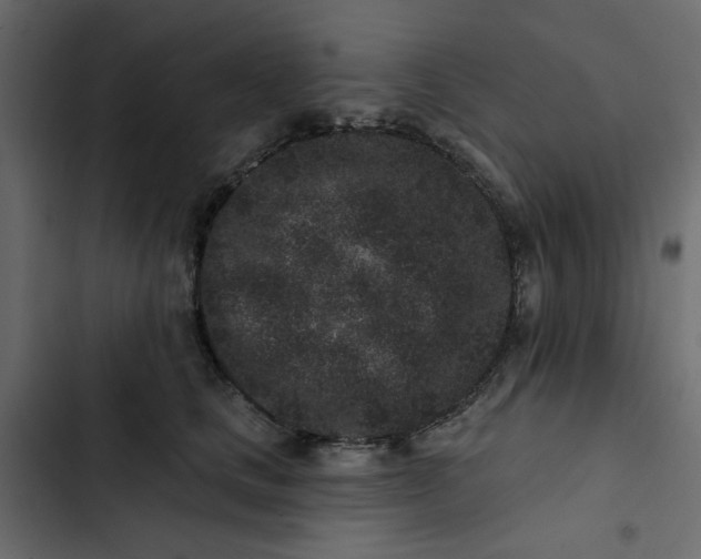 X0000102830661200809021315