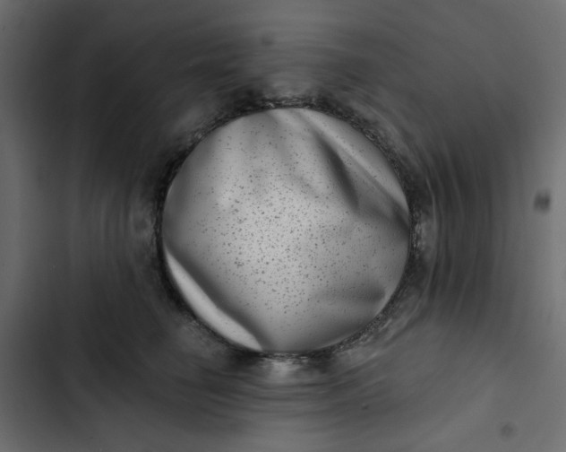 X0000102830662200809021315