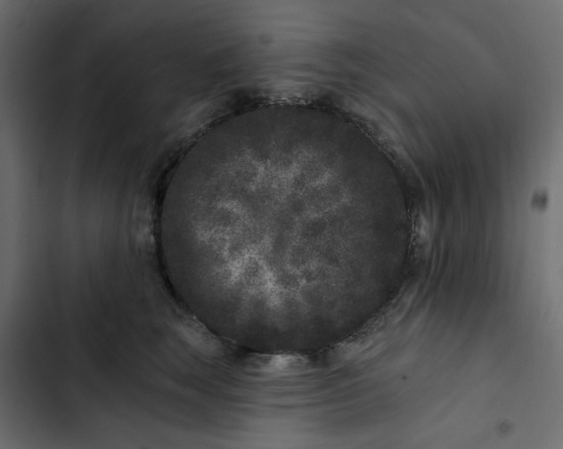 X0000102830663200809021315