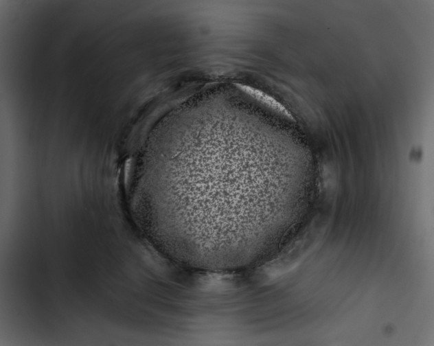 X0000102830664200809021315