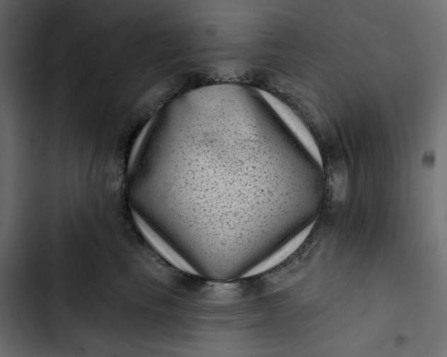 X0000102830665200809021315