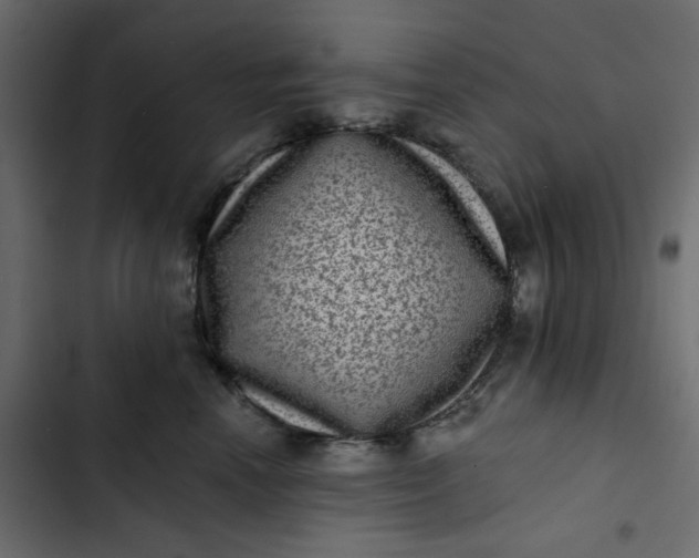 X0000102830666200809021315