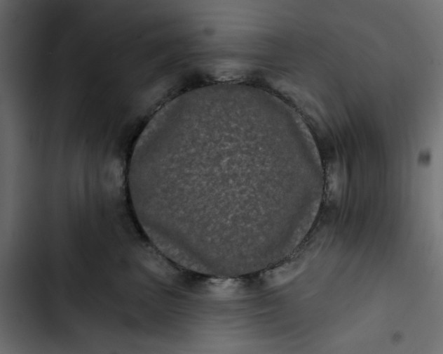 X0000102830667200809021315