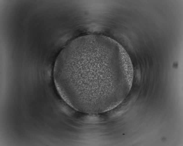 X0000102830668200809021315