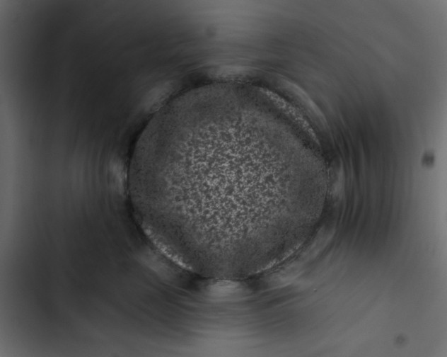 X0000102830669200809021315