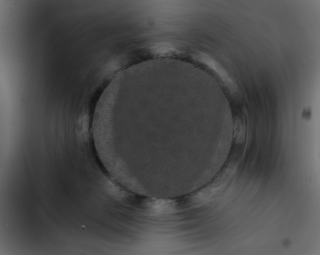 X0000102830670200809021315