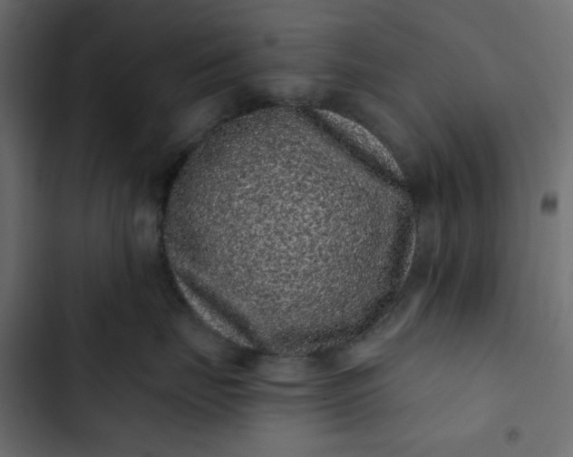 X0000102830671200809021315