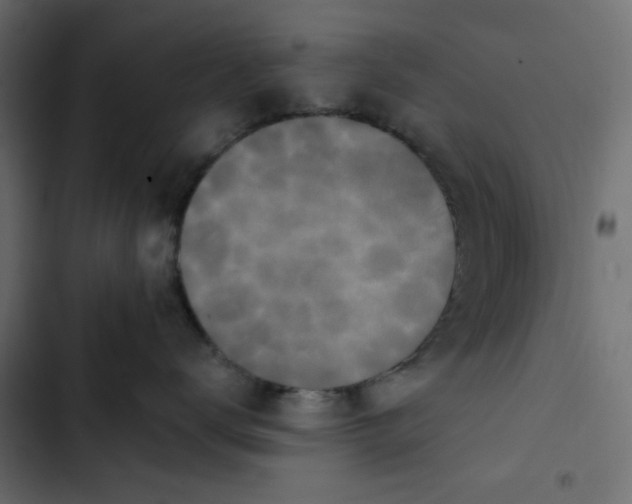 X0000102830672200809021315