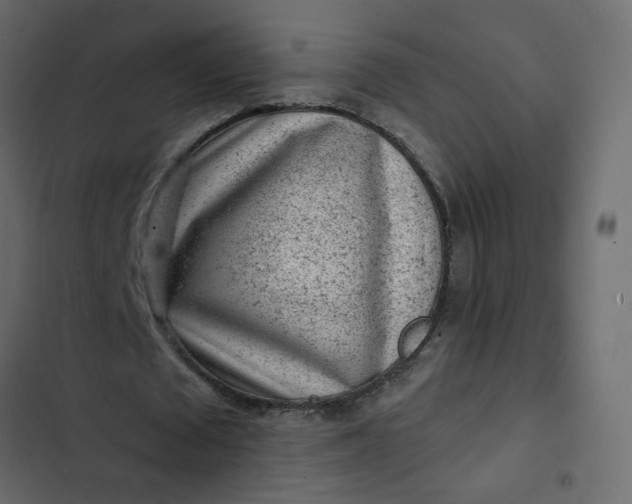 X0000102830673200809021314