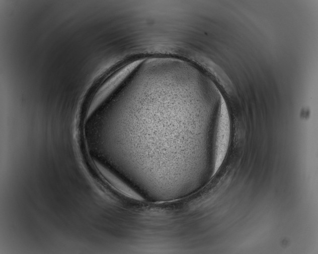 X0000102830677200809021314