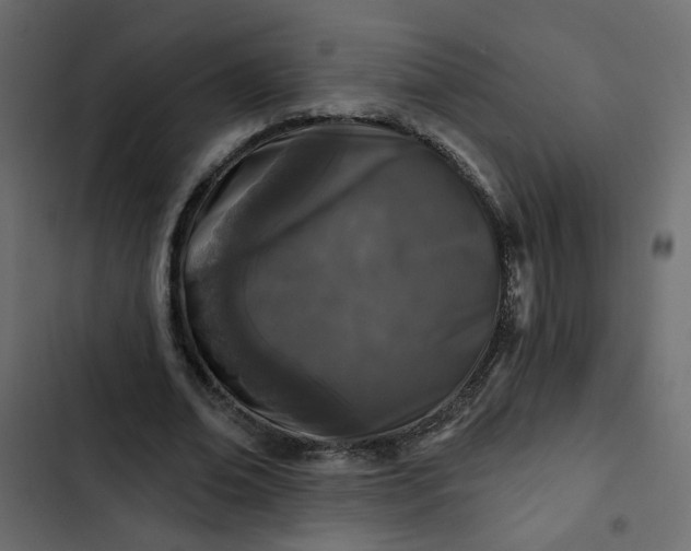 X0000102830678200809021314