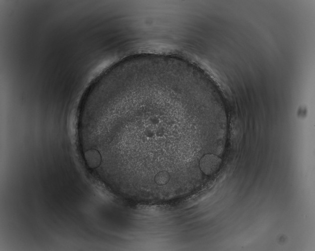 X0000102830679200809021314