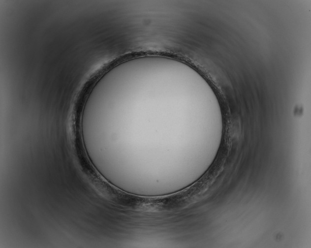 X0000102830680200809021314