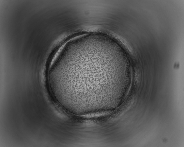 X0000102830682200809021314