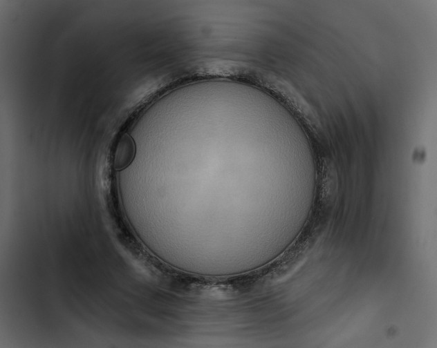 X0000102830683200809021314