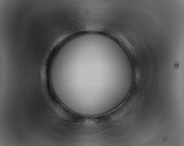 X0000102830684200809021314