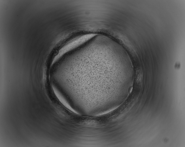 X0000102830685200809021314