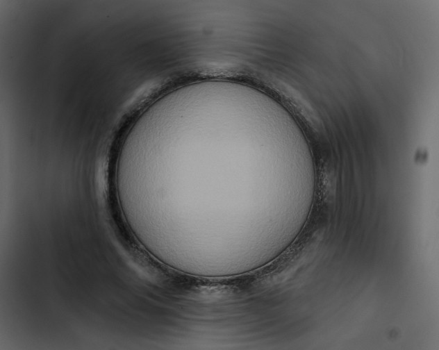 X0000102830686200809021314