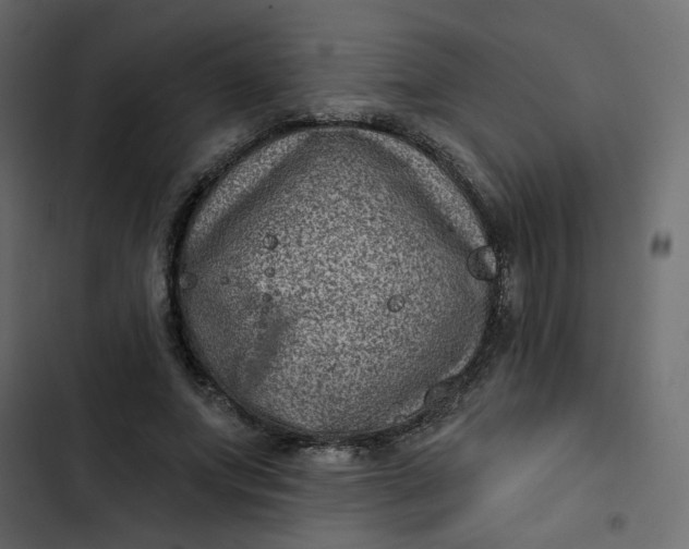 X0000102830687200809021314