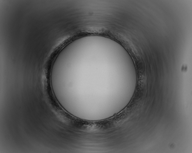 X0000102830688200809021314